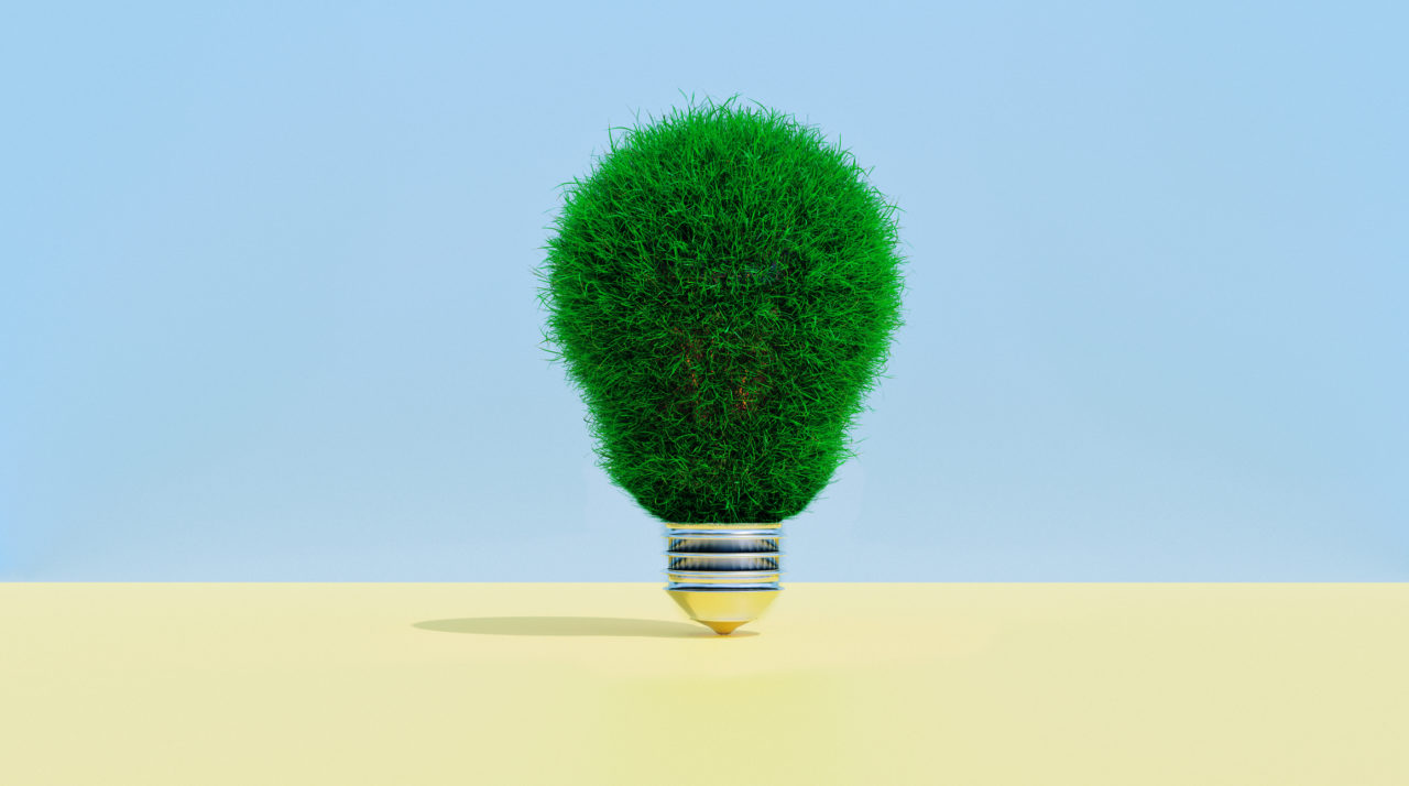 Light bulb covered in grass